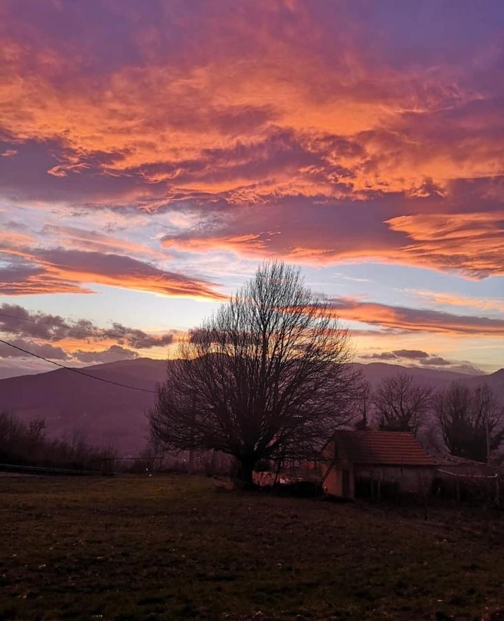 Bellavista B&B Roccavivara Eksteriør bilde