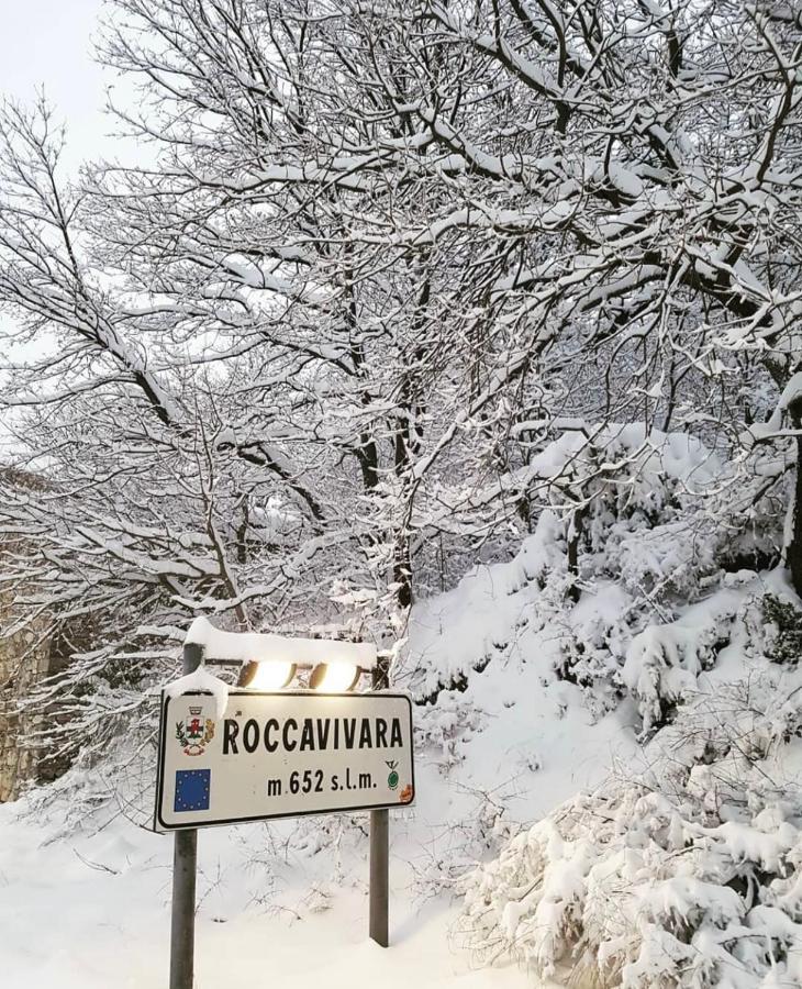 Bellavista B&B Roccavivara Eksteriør bilde